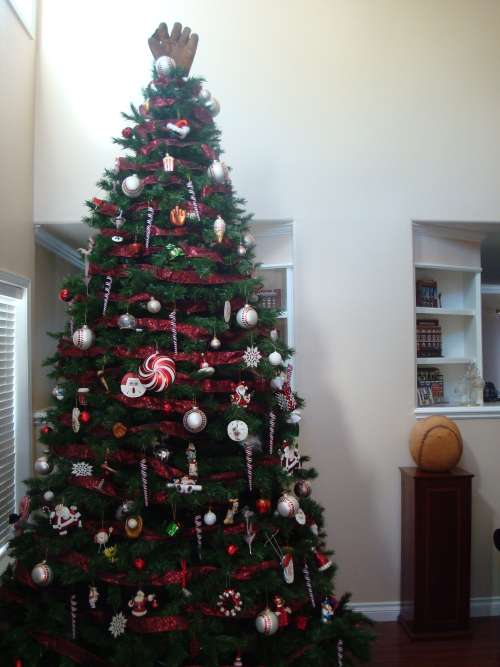 Christmas Tree 2009